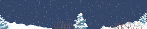 Christmas email banner