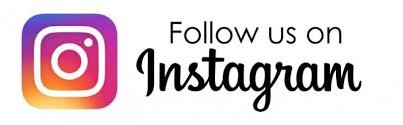 follow us on instagram button