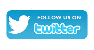 follow us on twitter button