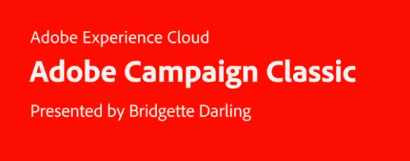 The Basics of Adobe Campaign Classic